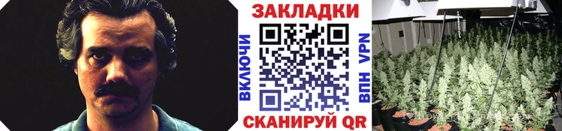 Наркотические вещества Адыгейск СОЛЬ  mega зеркало  Гашиш  COCAIN  Мефедрон  АМФЕТАМИН 