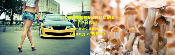 герыч Осташков