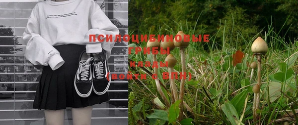 прущий лед Осинники