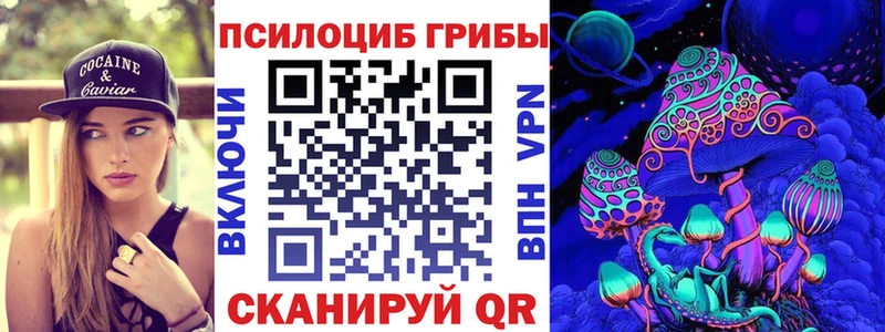 закладки Адыгейск Галлюциногенные грибы Cubensis